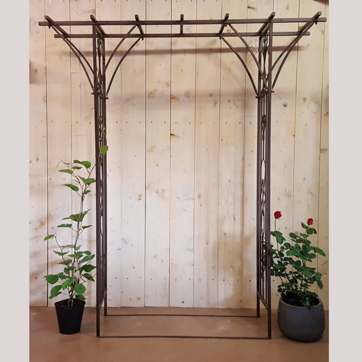 Arche en métal vieilli, pour plante grimpante ou rosier