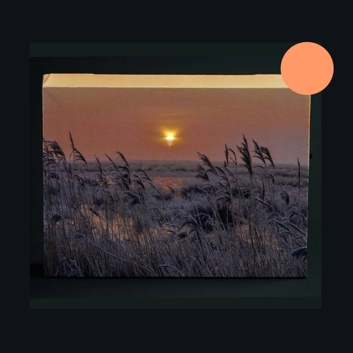 Tableau coucher de soleil avec lumière LED