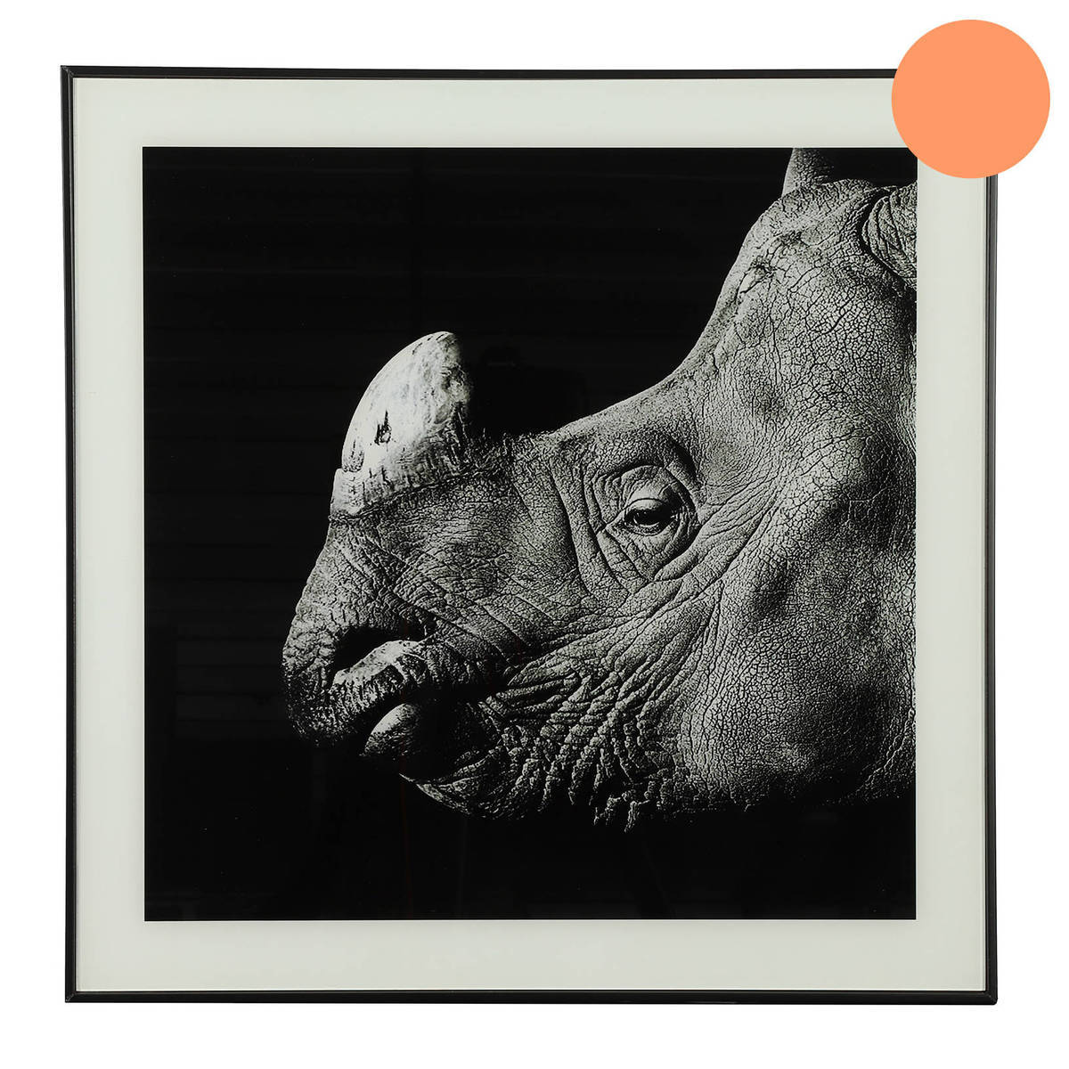 Tableau rhinocéros noir/blanc, 50x50 cm