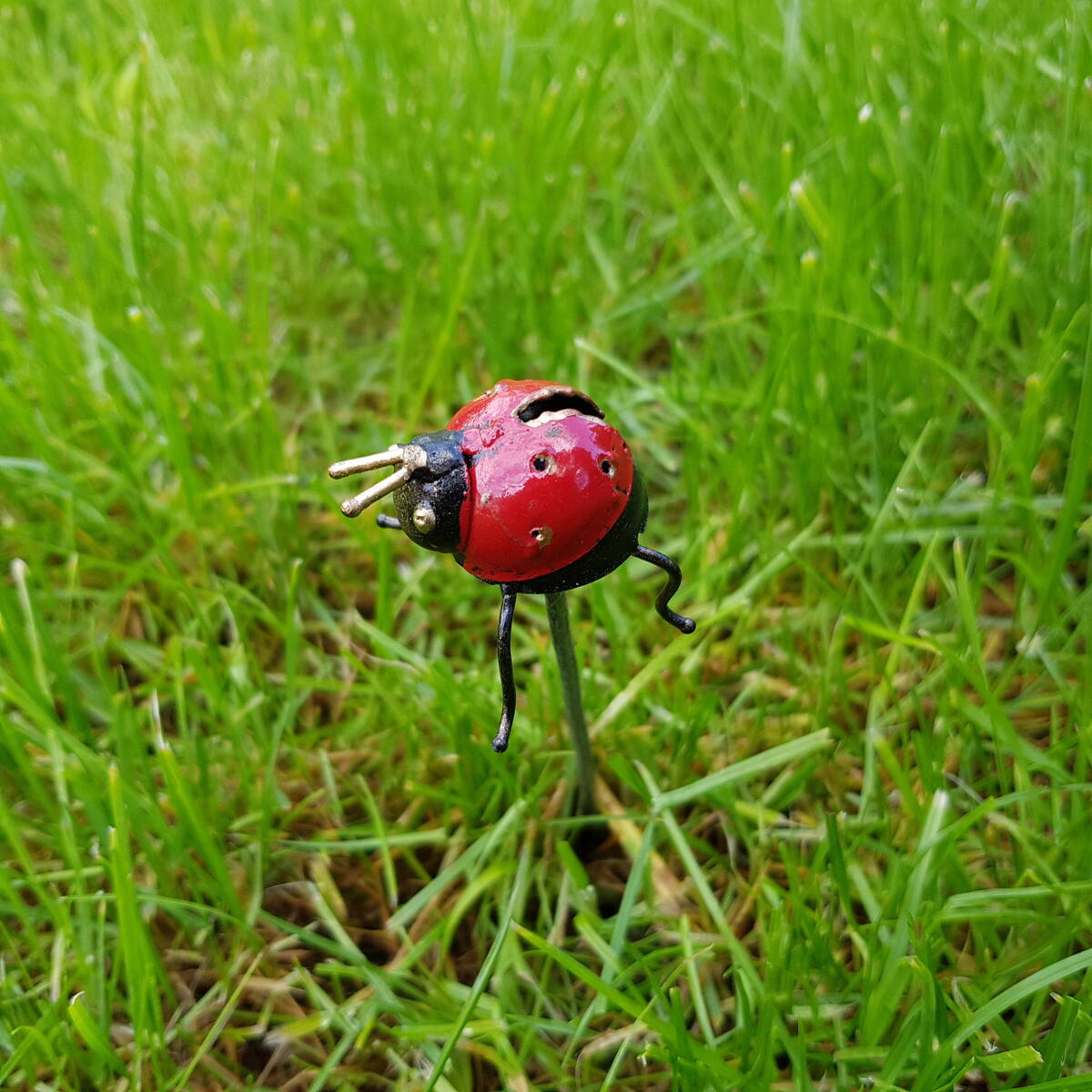 Coccinelle en métal peint, H. 22 cm 