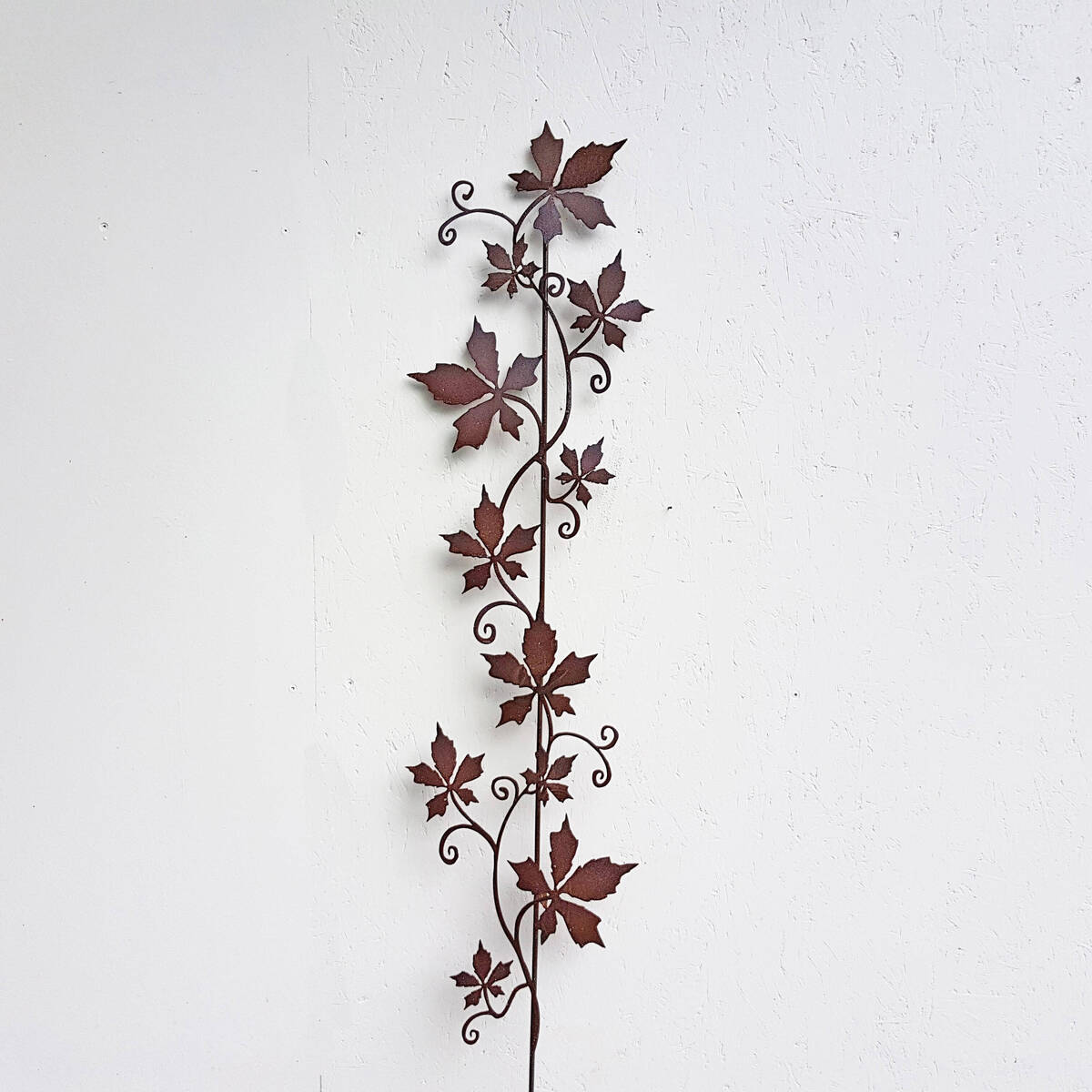 Vigne sauvage sur tige, H 180 cm 