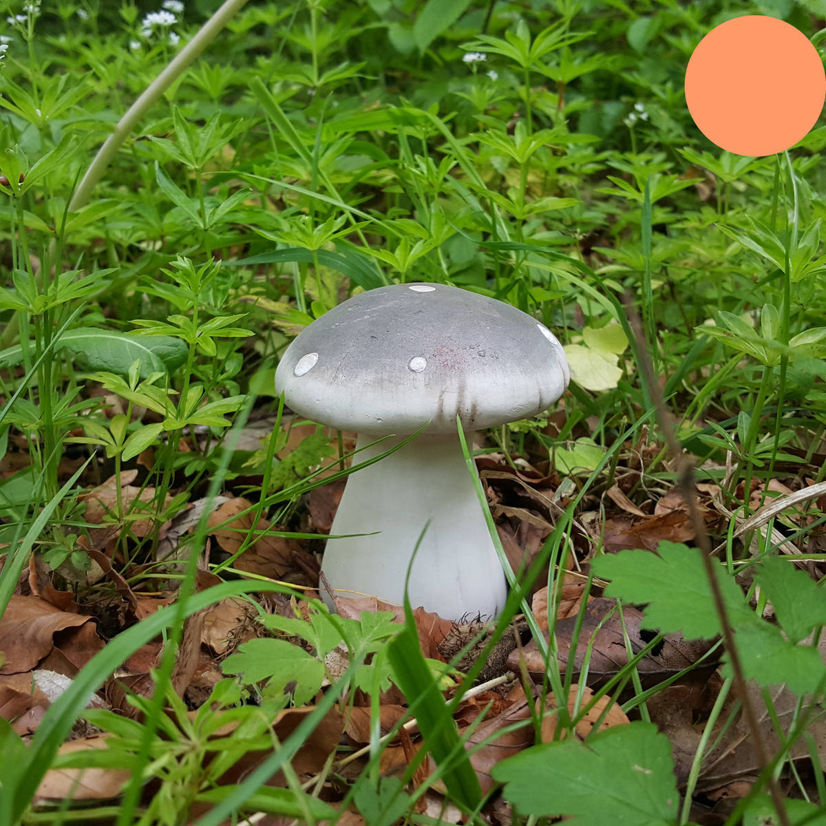 Champignon en céramique  