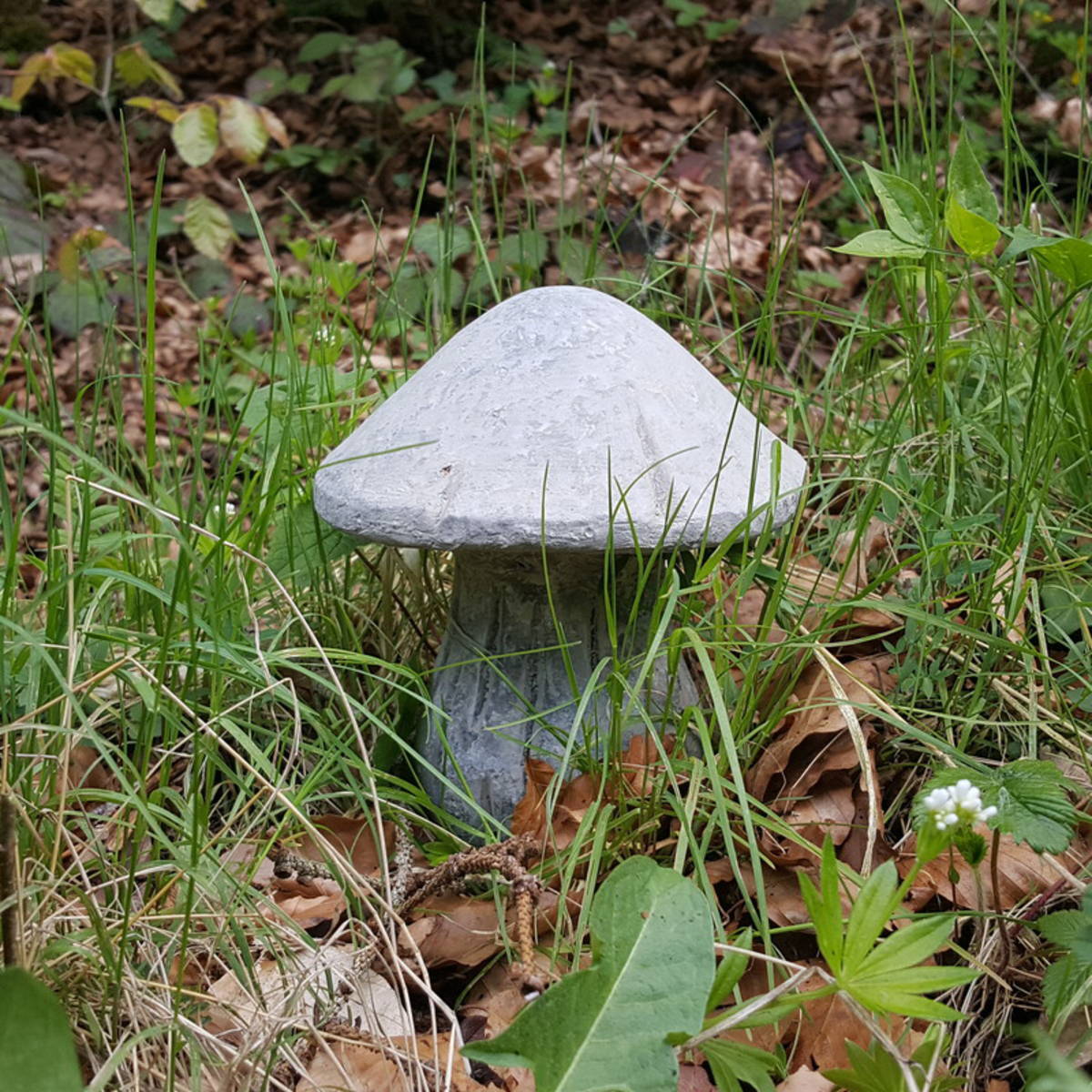 Champignon en ciment  