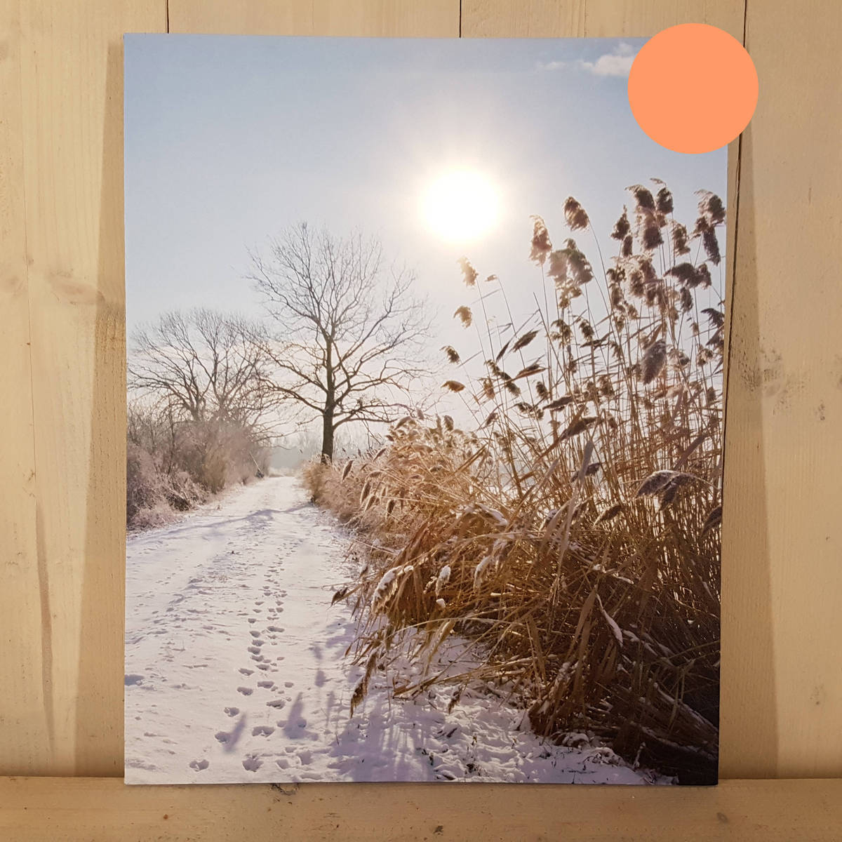 Winterlandschaft mit LED Licht