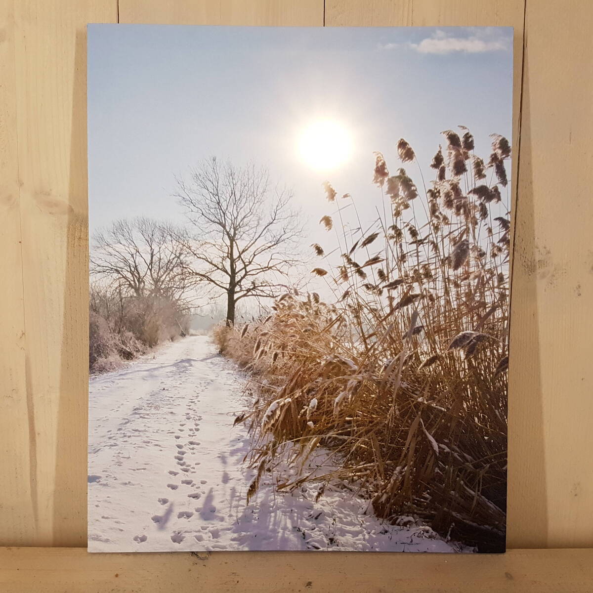 Winterlandschaft mit LED Licht