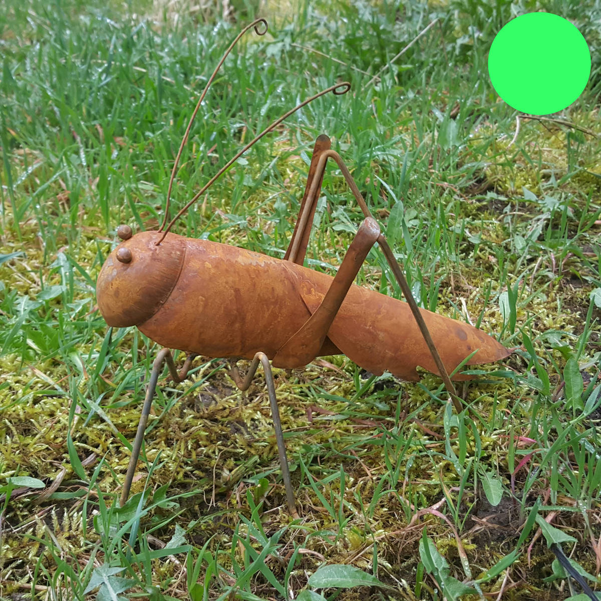 Heuschrecke aus Rostmetall, Länge 26cm