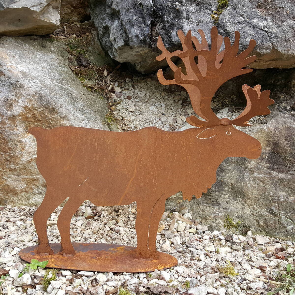 Elch mit doppeltem Geweih, Höhe 60cm