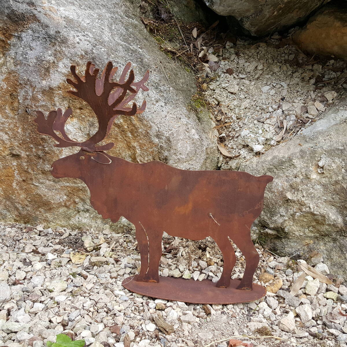 Elan en fer rouillé, H. 40 cm  