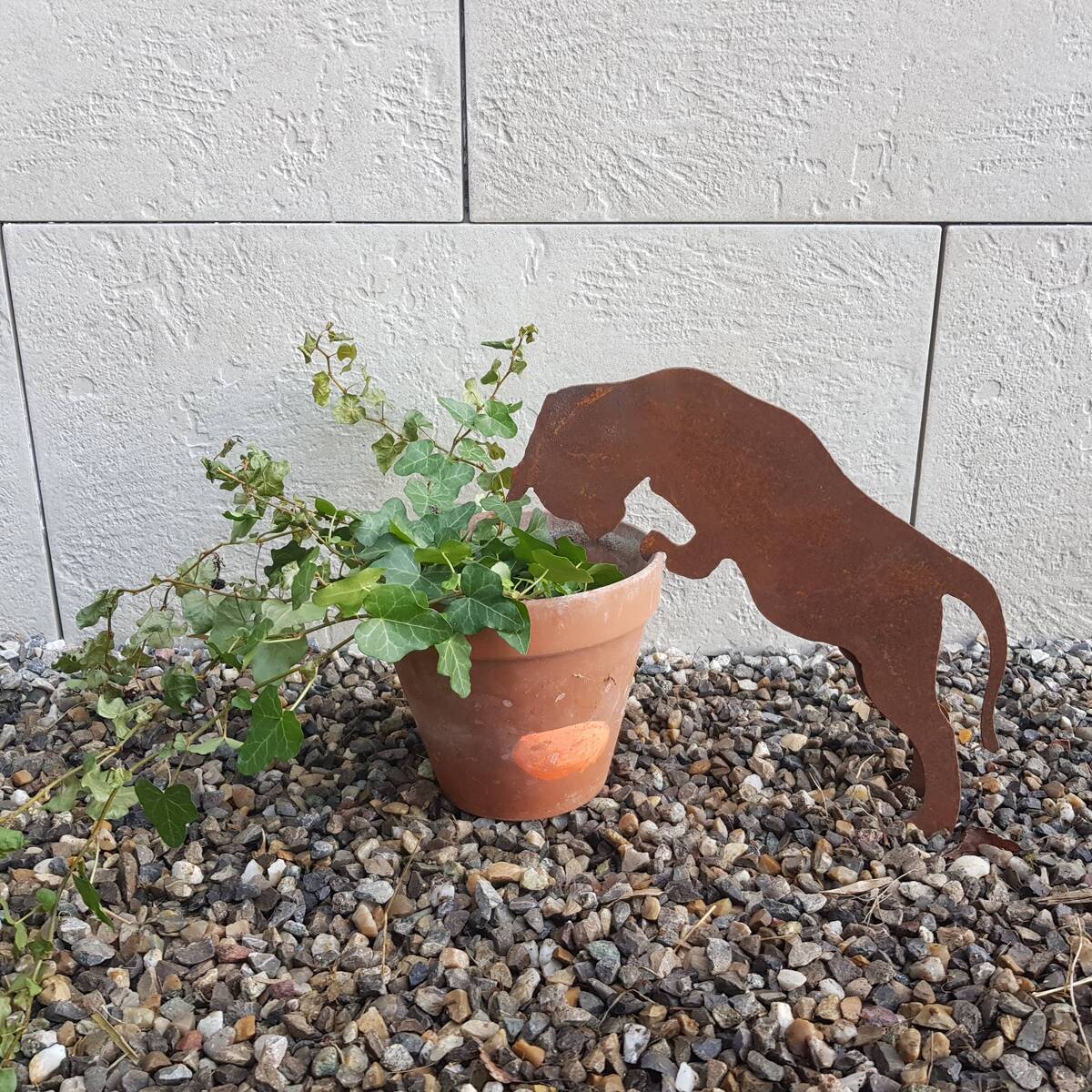 Chat à crocher sur un bord, en fer rouillé, H.20 cm 