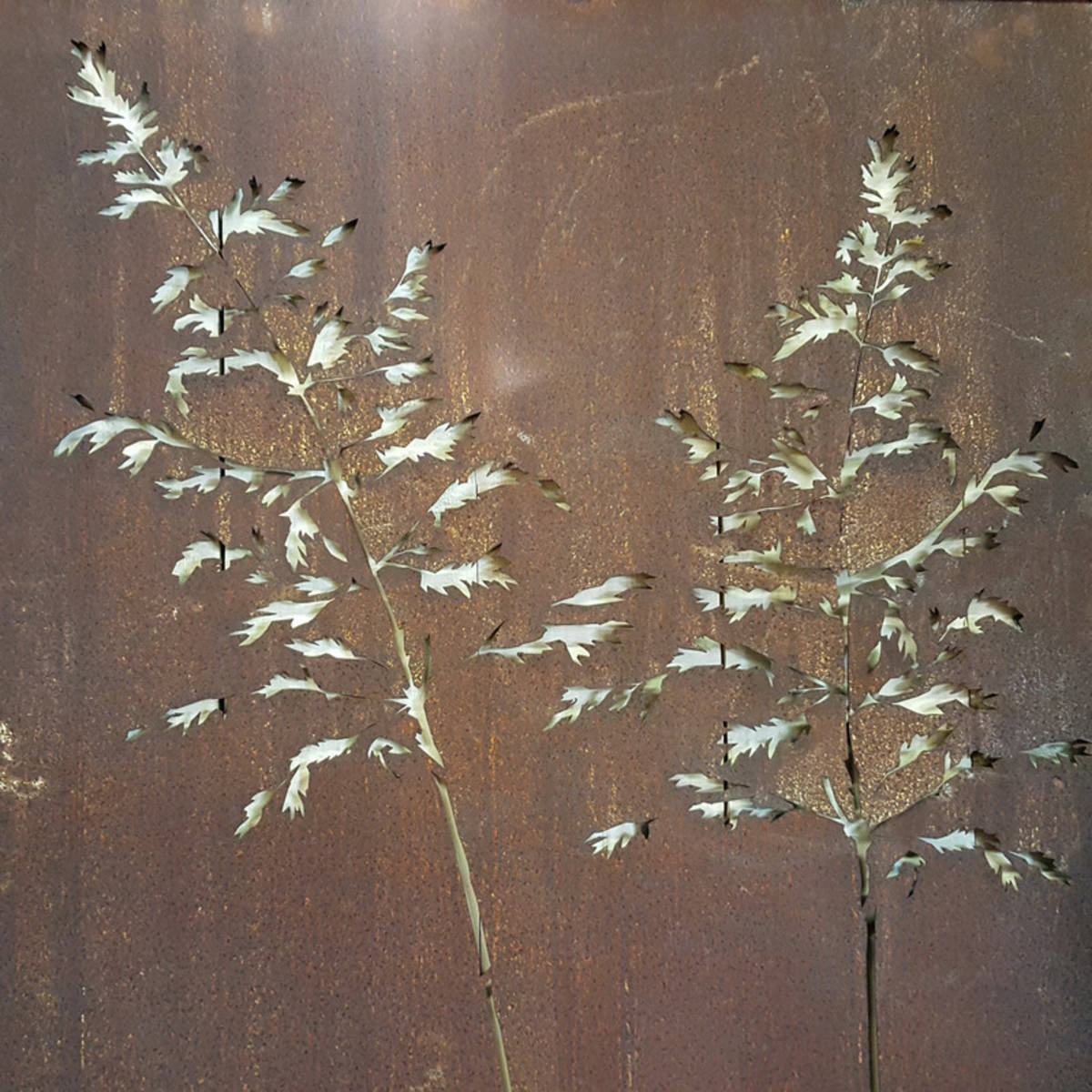 Paravent aus Rosteisen, Höhe 200 cm,  mit Gräsermotiv