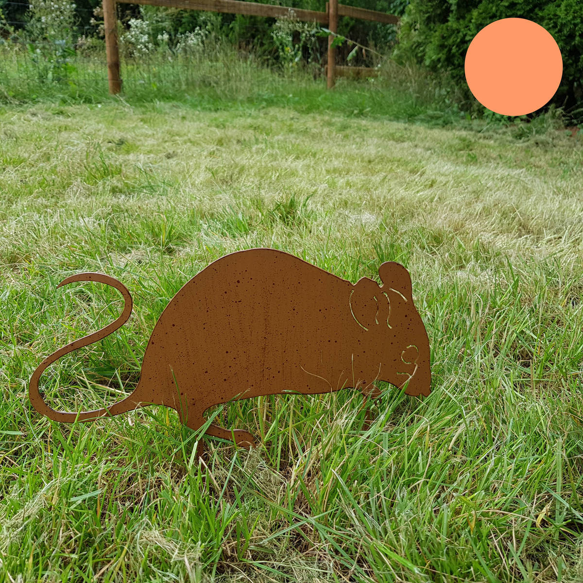 Souris en métal, à piquer, Largeur 30cm