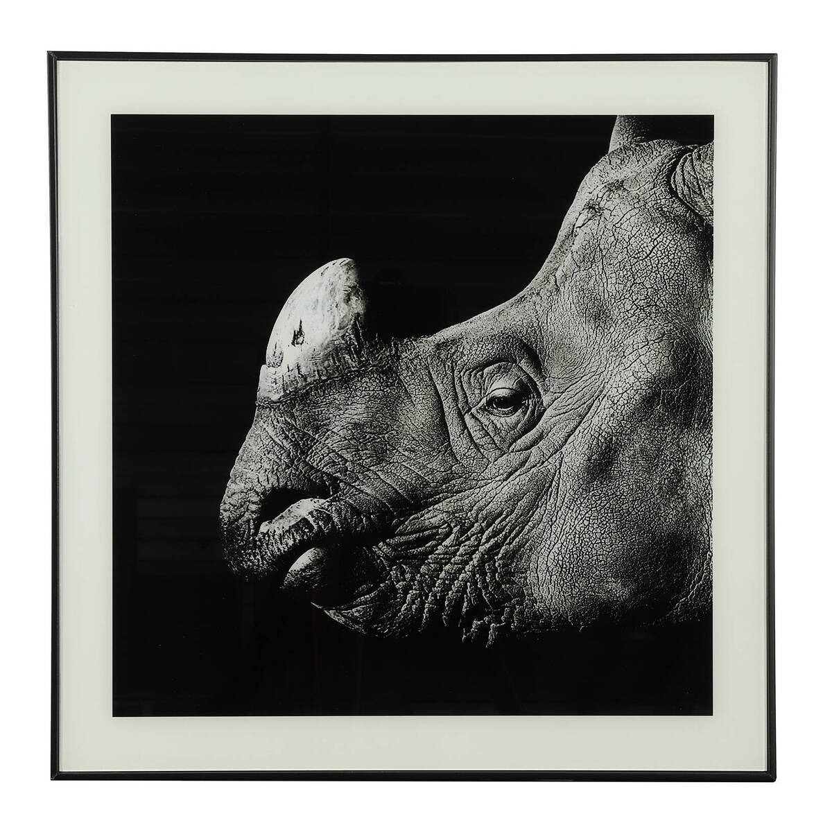 Tableau rhinocéros noir/blanc, 50x50 cm 