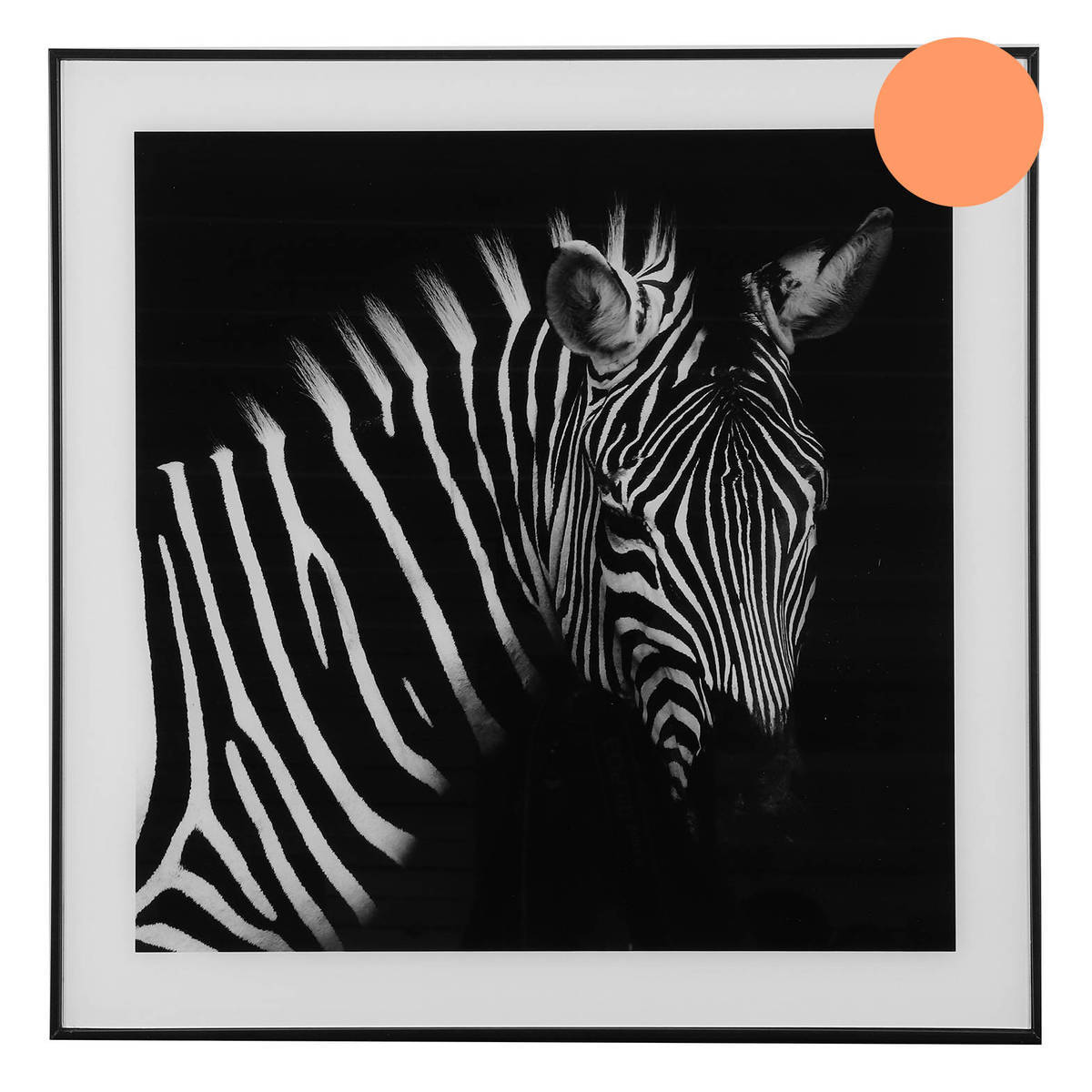 Tableau zèbre, noir/blanc, 50x50 cm 