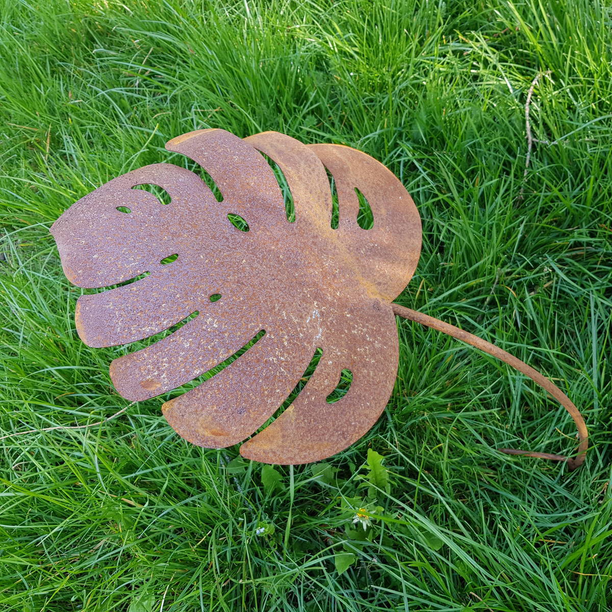 Feuille en fer rouillé, à piquer, 30 cm 