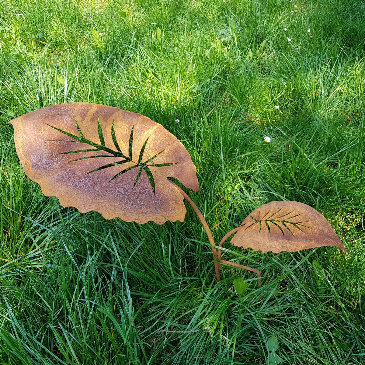 Feuilles en fer rouillé, à piquer, L. 40cm / 20cm