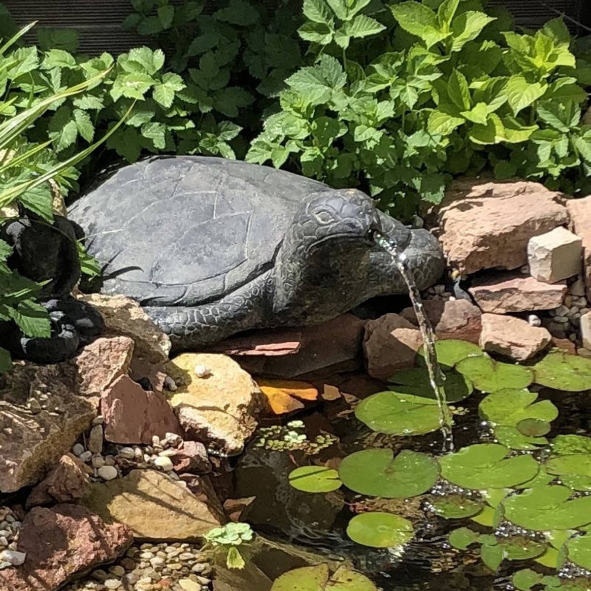 Tortue en pierre agglomérée, 50 cm 