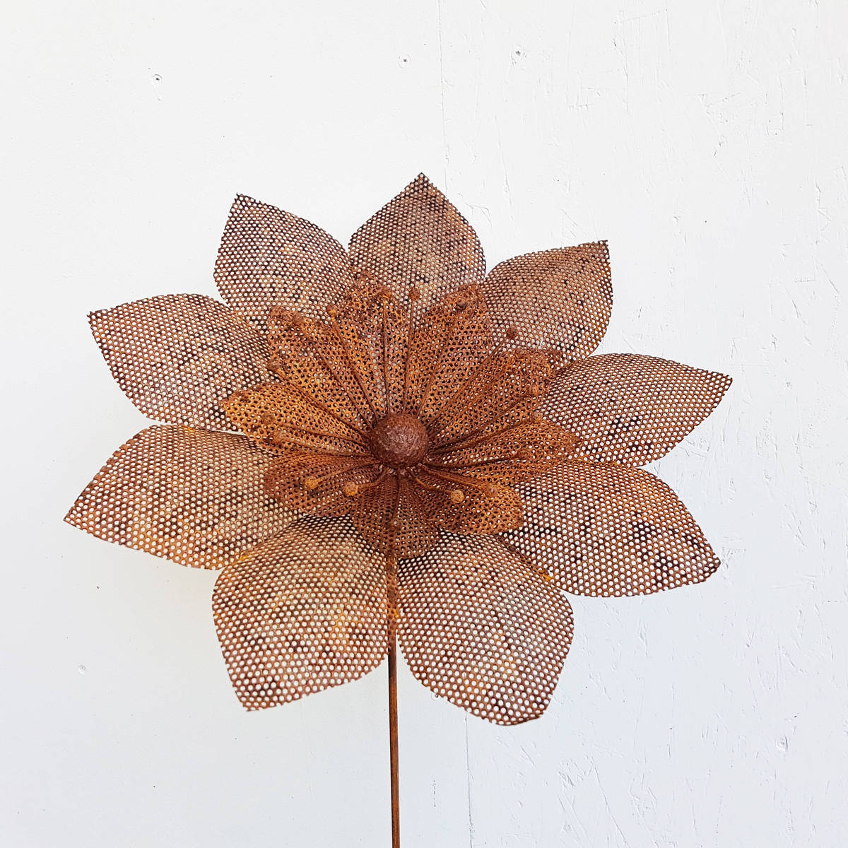 Fleur sur tige, en fer rouillé H. 140cm