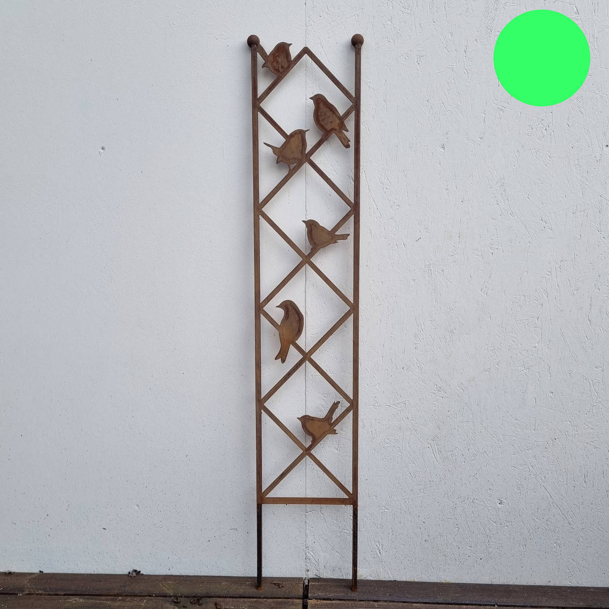 Grille pour plante grimpante, 138 cm 