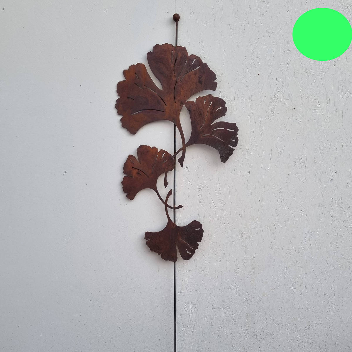 Feuille de Ginkgo sur tige, en fer rouillé, 182 cm 