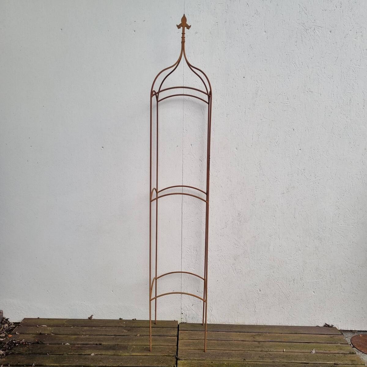 Support plantes grimpantes en fer rouillé, 154 cm 