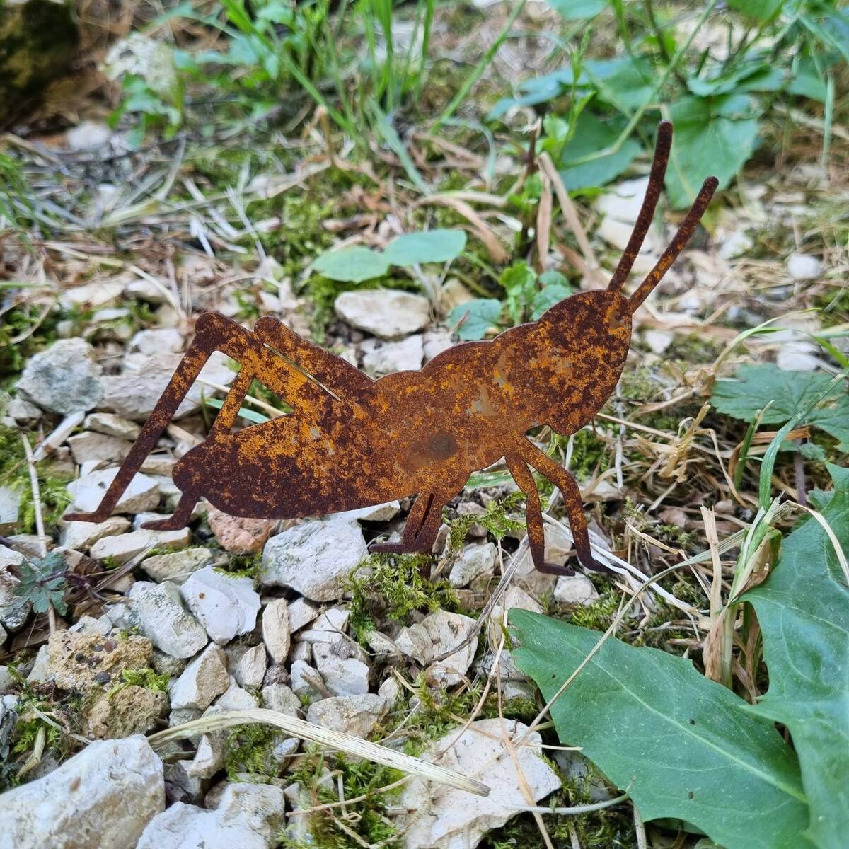 Grillon en fer rouillé, à piquer, 14 cm 
